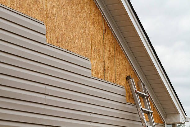Professional Siding Inspection technician working in Lithopolis, OH